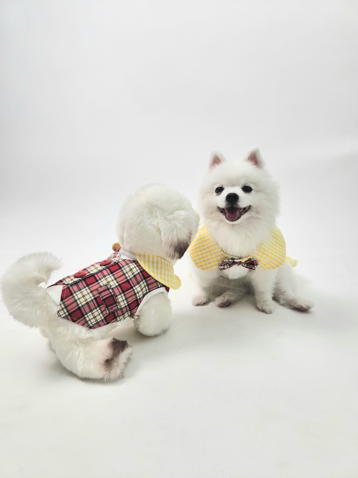 Animal-Go-Round เสื้อผ้าเครื่องแต่งกาย สัตว์เลี้ยง, หมา, แมว, สุนัข รุ่น Lani Scotty Suit
