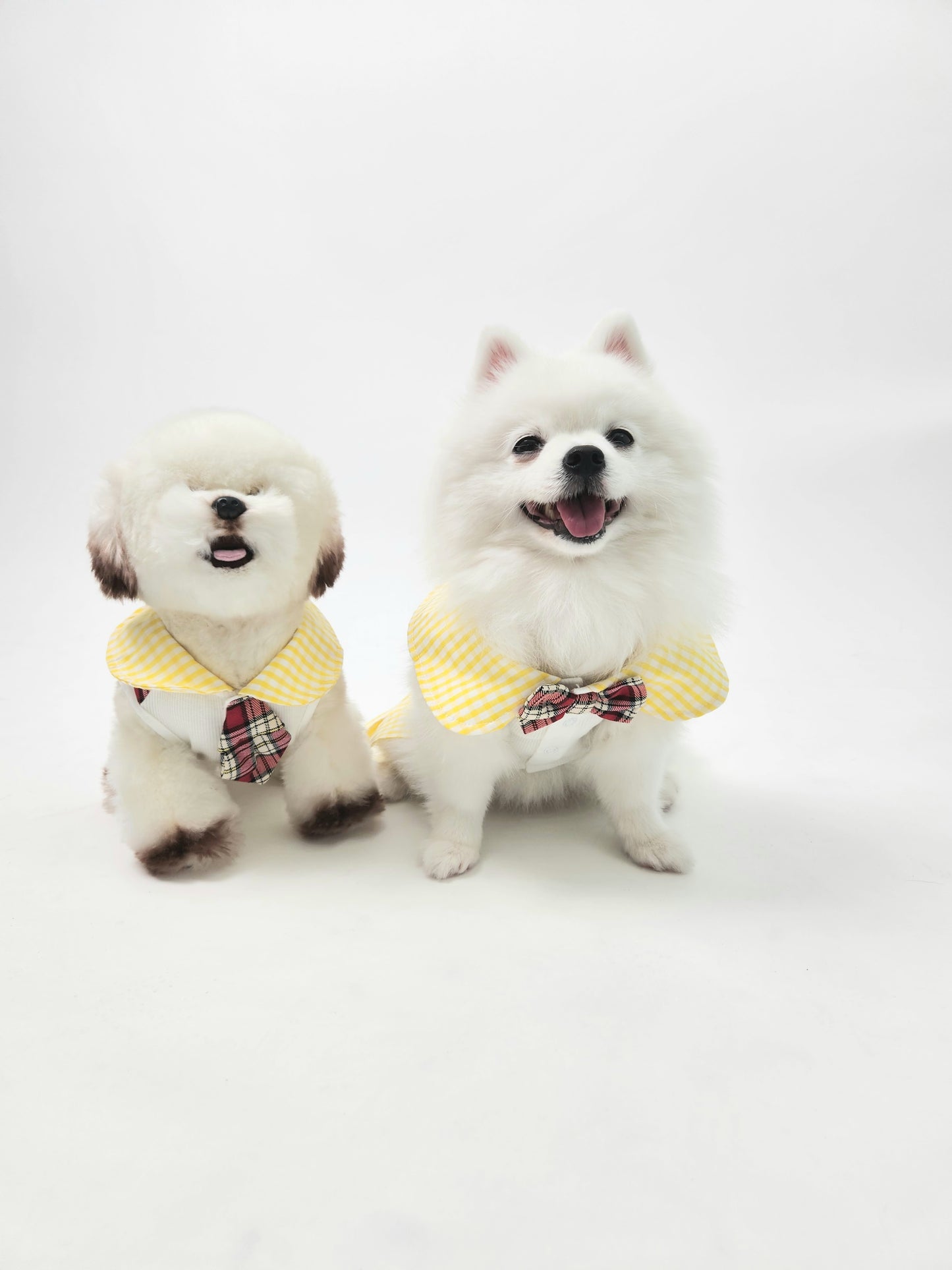 Animal-Go-Round เสื้อผ้าเครื่องแต่งกาย สัตว์เลี้ยง, หมา, แมว, สุนัข รุ่น Lani Scotty Dress