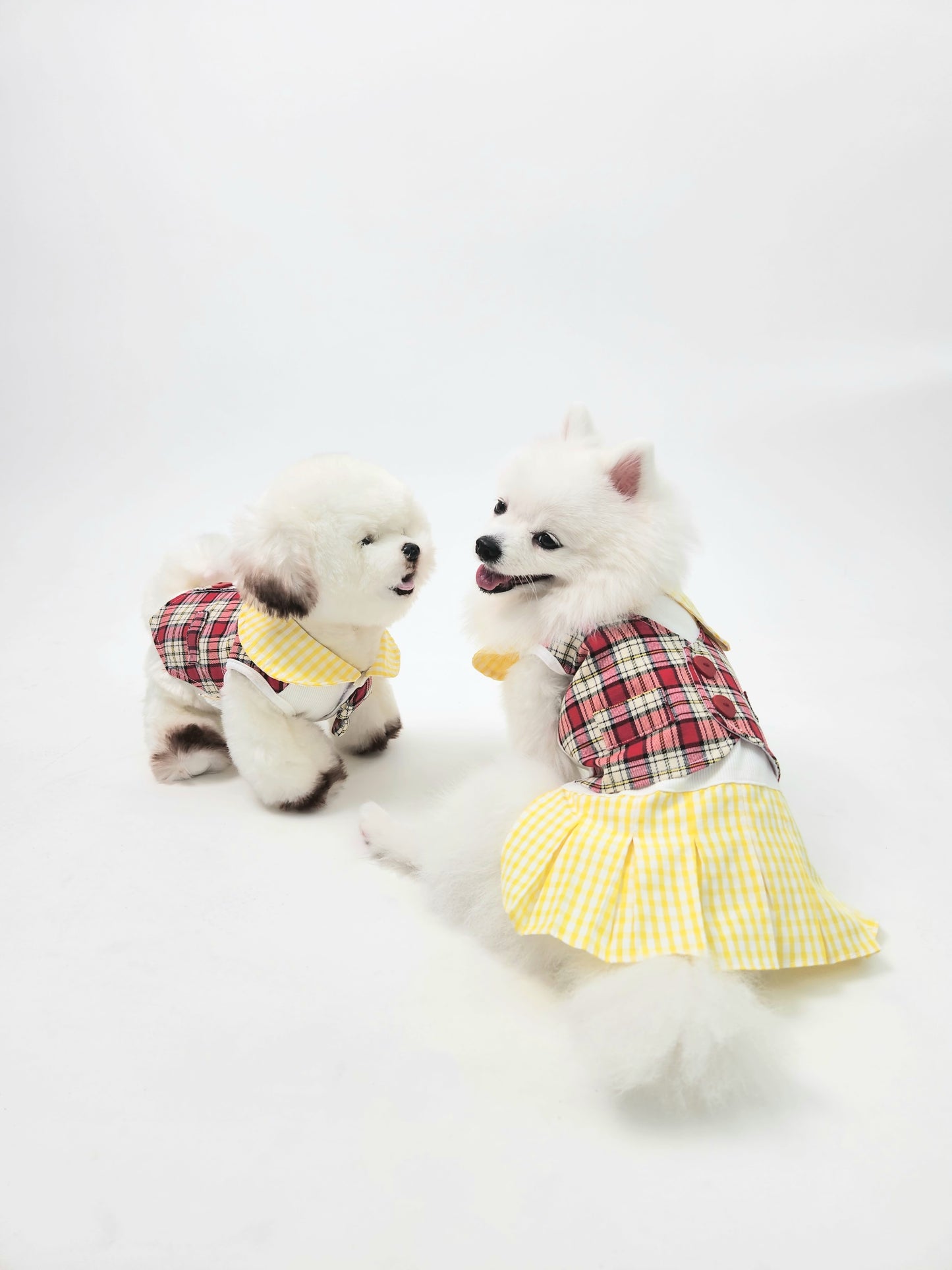 Animal-Go-Round เสื้อผ้าเครื่องแต่งกาย สัตว์เลี้ยง, หมา, แมว, สุนัข รุ่น Lani Scotty Dress