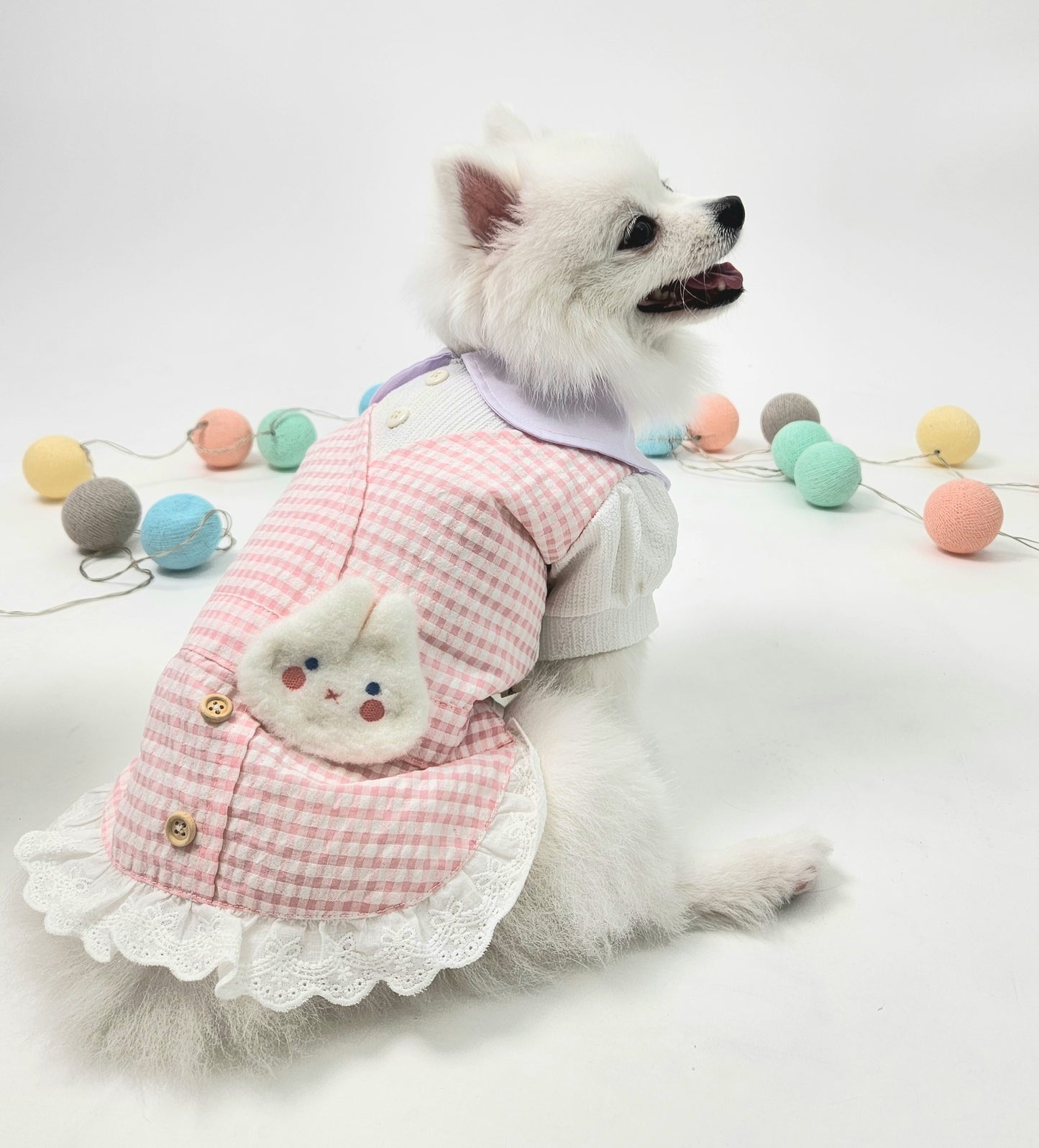 Animal-Go-Round เสื้อผ้าเครื่องแต่งกาย สัตว์เลี้ยง, หมา, แมว, สุนัข รุ่น Sugary Bunny
