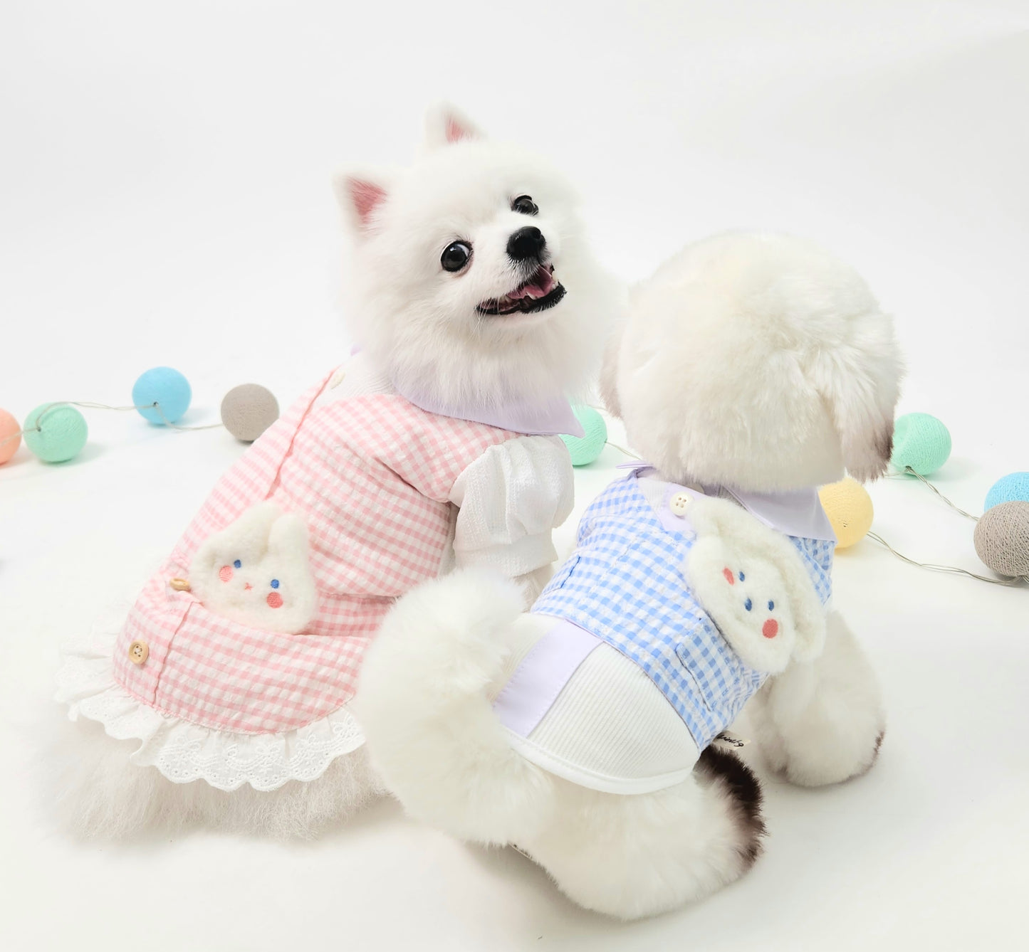 Animal-Go-Round เสื้อผ้าเครื่องแต่งกาย สัตว์เลี้ยง, หมา, แมว, สุนัข รุ่น Sugary Bunny