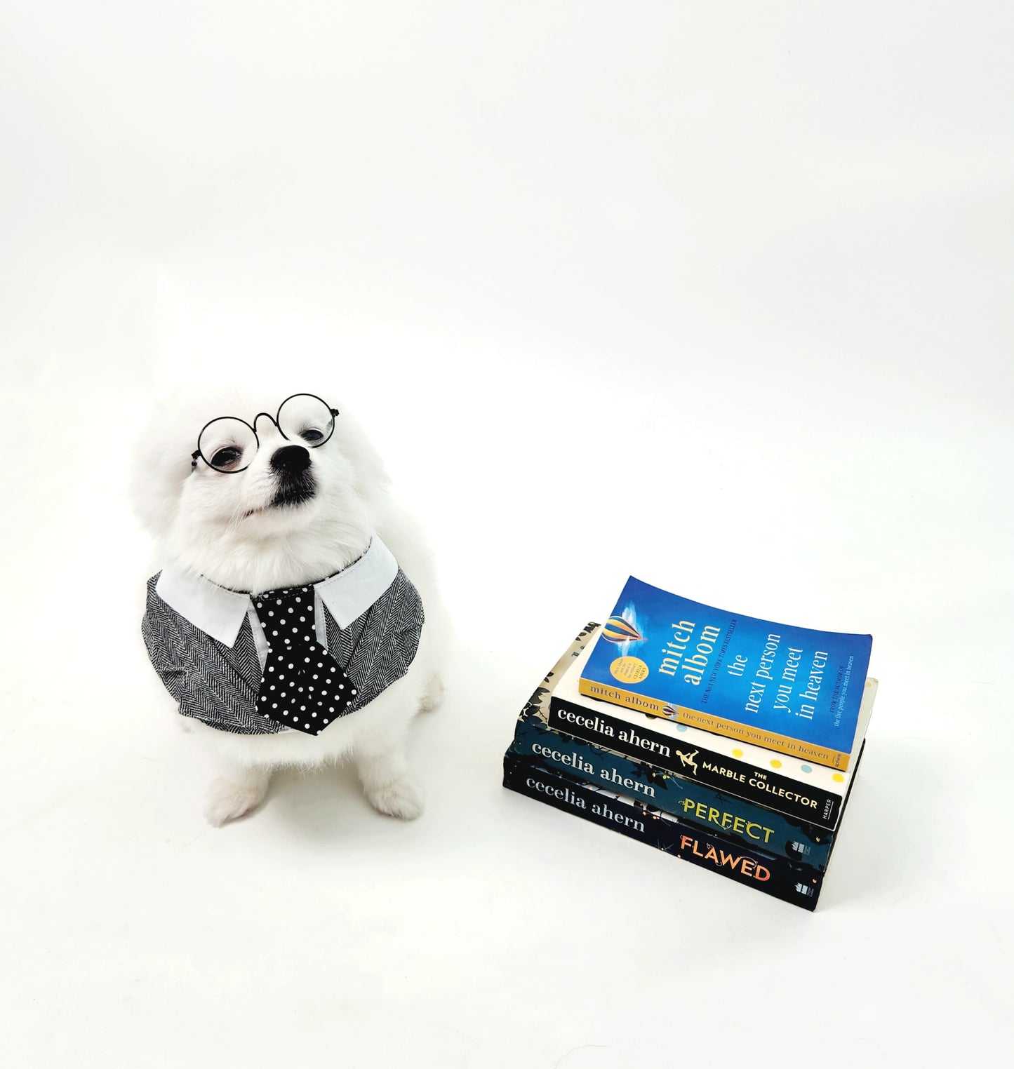Cotton Tail ปลอกคอและผ้าคลุมไหล่ สัตว์เลี้ยง, หมา, แมว, สุนัข รุ่น Gentlepaw Dot Tie Inky