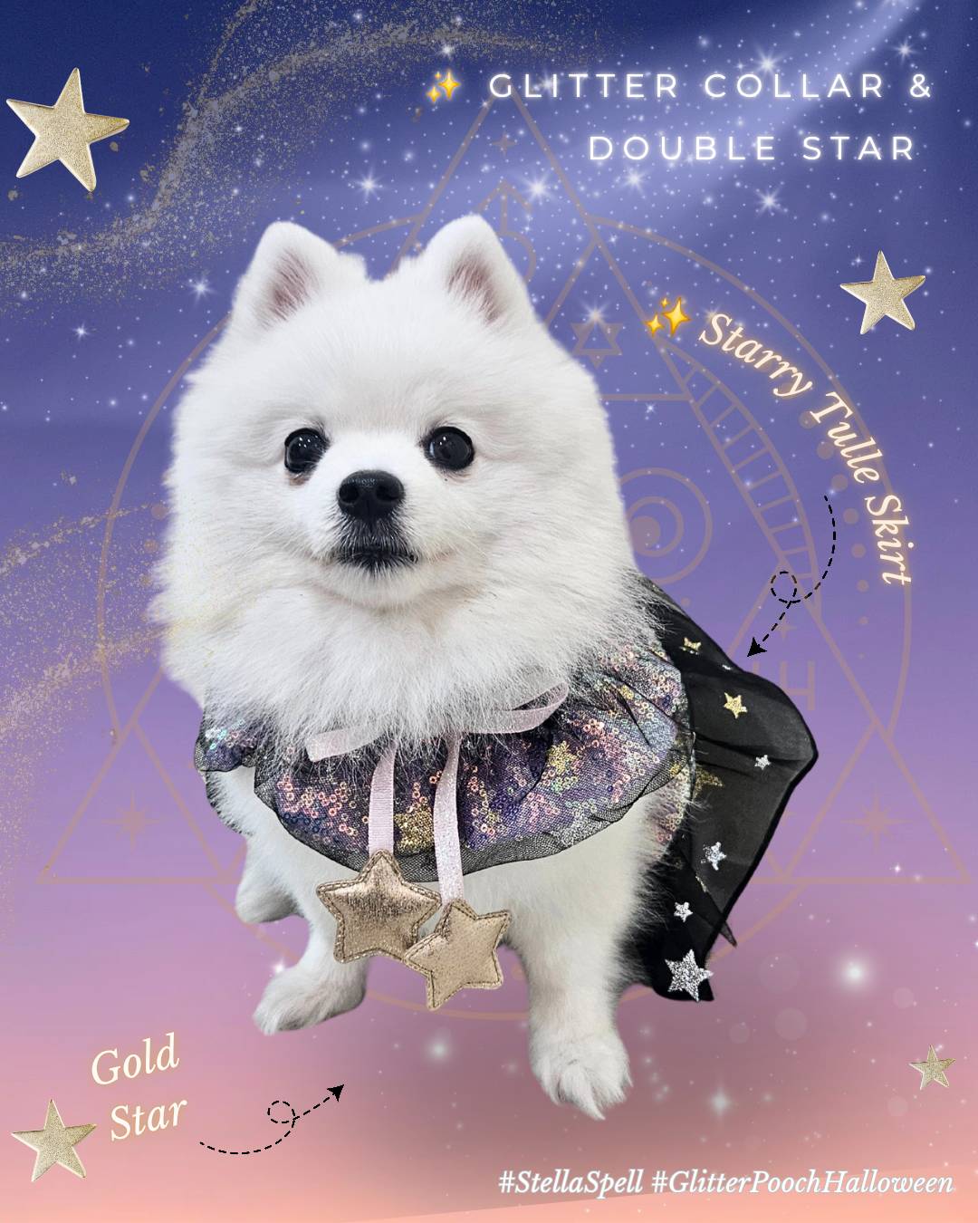 Glitter Pooch Harness ชุดรัดอก สายจูง เสื้อผ้า สุนัข, หมา, แมว, สัตว์เลี้ยง พร้อม สายจูง รุ่น Stella Spell