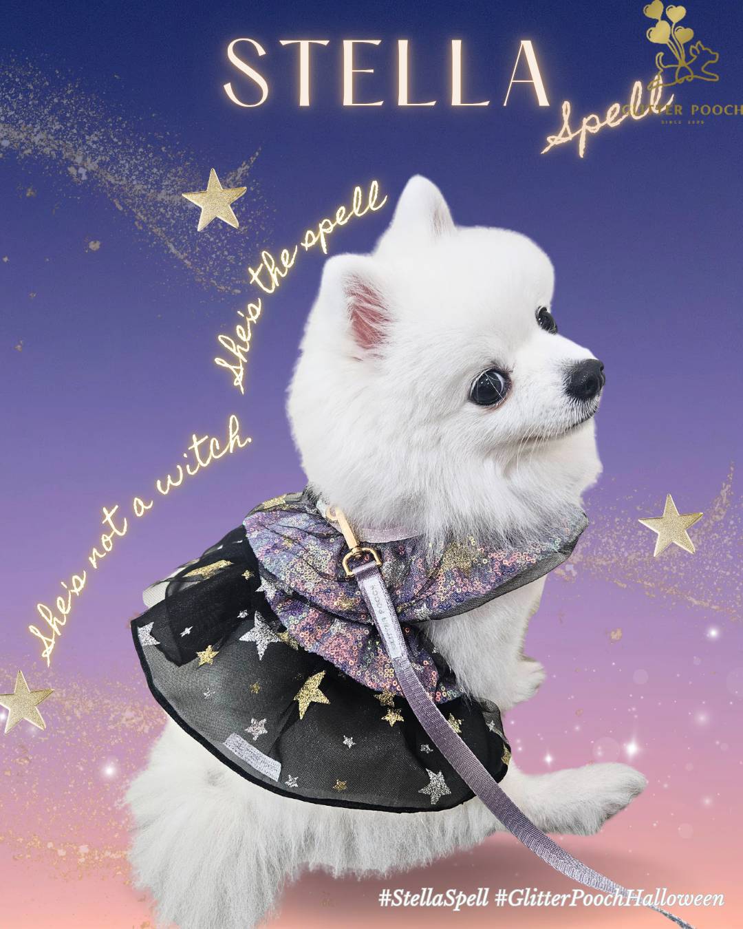 Glitter Pooch Harness ชุดรัดอก สายจูง เสื้อผ้า สุนัข, หมา, แมว, สัตว์เลี้ยง พร้อม สายจูง รุ่น Stella Spell