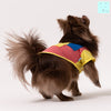 Cotton Tail เสื้อผ้าสัตว์เลี้ยง, หมา, แมว, สุนัข รุ่น Clown Strips