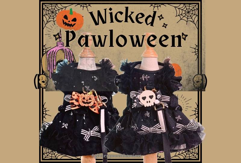 Glitter Pooch Harness ชุดรัดอก สายจูง เสื้อผ้า สุนัข, หมา, แมว, สัตว์เลี้ยง พร้อม สายจูง รุ่น Halloween Gal 2024 V.2