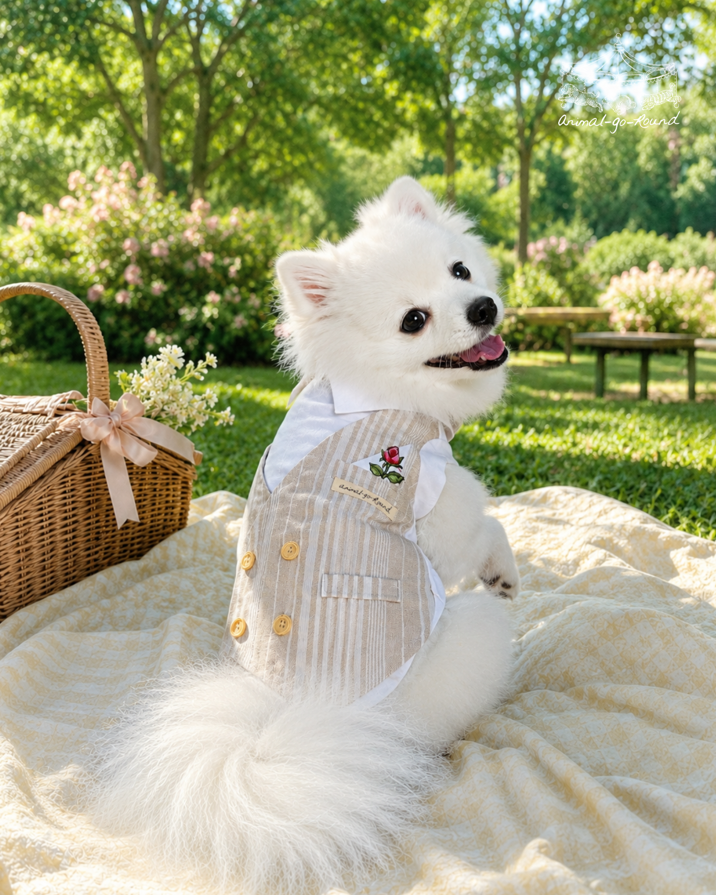 Animal-Go-Round เสื้อผ้าเครื่องแต่งกาย สัตว์เลี้ยง, หมา, แมว, สุนัข รุ่น Vintage Rose Vest
