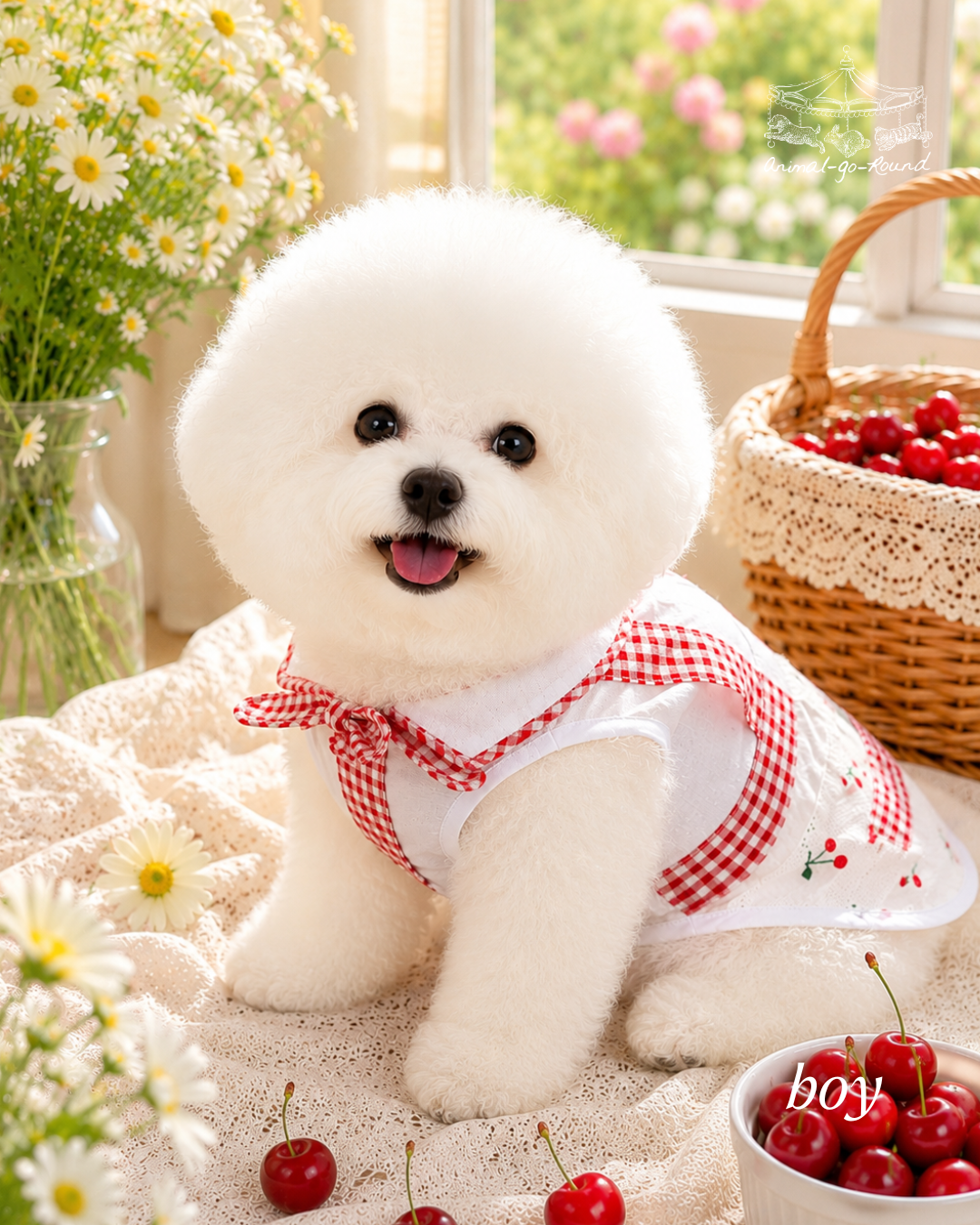 Animal-Go-Round เสื้อผ้าเครื่องแต่งกาย สัตว์เลี้ยง, หมา, แมว, สุนัข รุ่น Little Cherry Paw