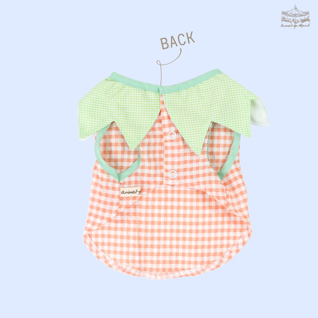Animal-Go-Round เสื้อผ้าเครื่องแต่งกาย สัตว์เลี้ยง, หมา, แมว, สุนัข รุ่น Tiny Carrot