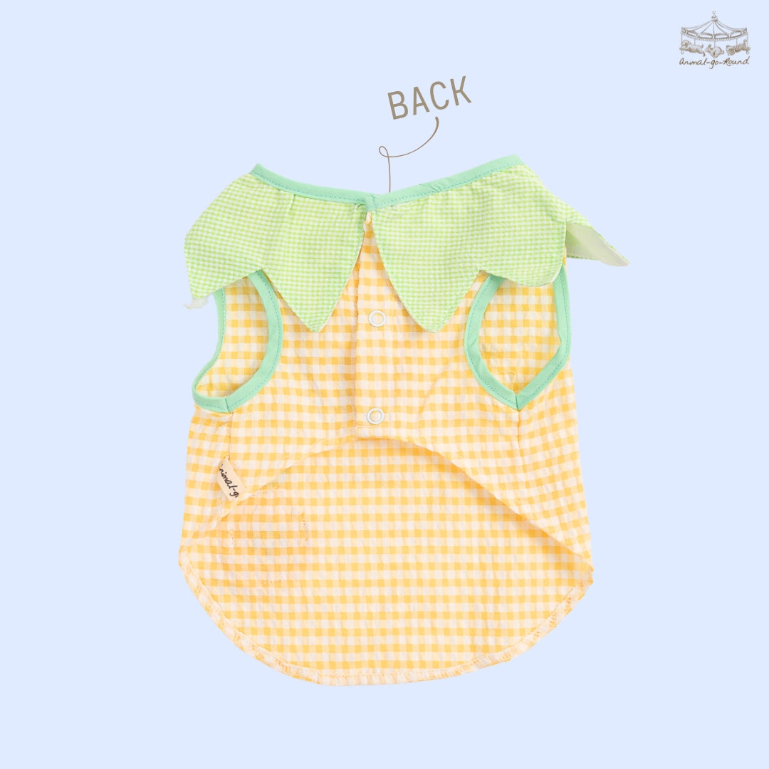 Animal-Go-Round เสื้อผ้าเครื่องแต่งกาย สัตว์เลี้ยง, หมา, แมว, สุนัข รุ่น Merry Pineapple