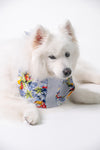 Cotton Tail ปลอกคอและผ้าคลุมไหล่ สัตว์เลี้ยง, หมา, แมว, สุนัข รุ่น Voyager Cape