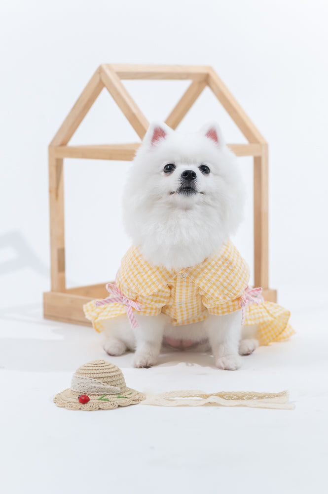Animal-Go-Round เสื้อผ้าเครื่องแต่งกาย สัตว์เลี้ยง, หมา, แมว, สุนัข รุ่น Miss Prairie Primrose
