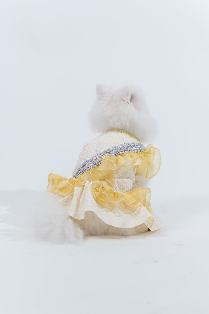Animal-Go-Round เสื้อผ้าเครื่องแต่งกาย สัตว์เลี้ยง, หมา, แมว, สุนัข รุ่น Swan Fleurs Yellow
