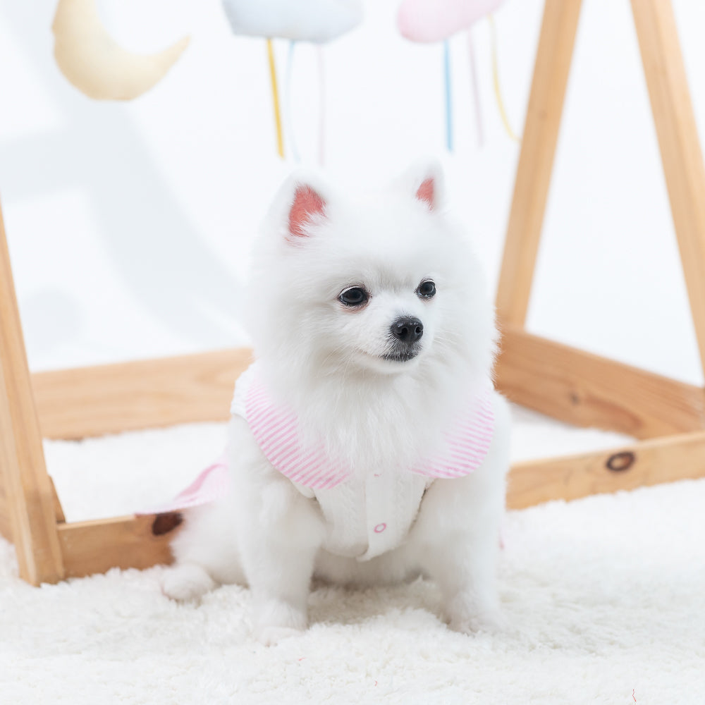 Animal-Go-Round เสื้อผ้าเครื่องแต่งกาย สัตว์เลี้ยง, หมา, แมว, สุนัข รุ่น Romilly Snowflake