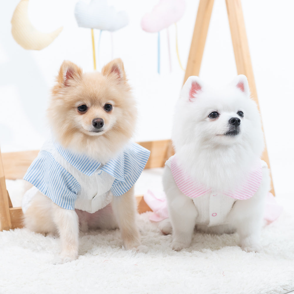 Animal-Go-Round เสื้อผ้าเครื่องแต่งกาย สัตว์เลี้ยง, หมา, แมว, สุนัข รุ่น Rafferty Snowflake