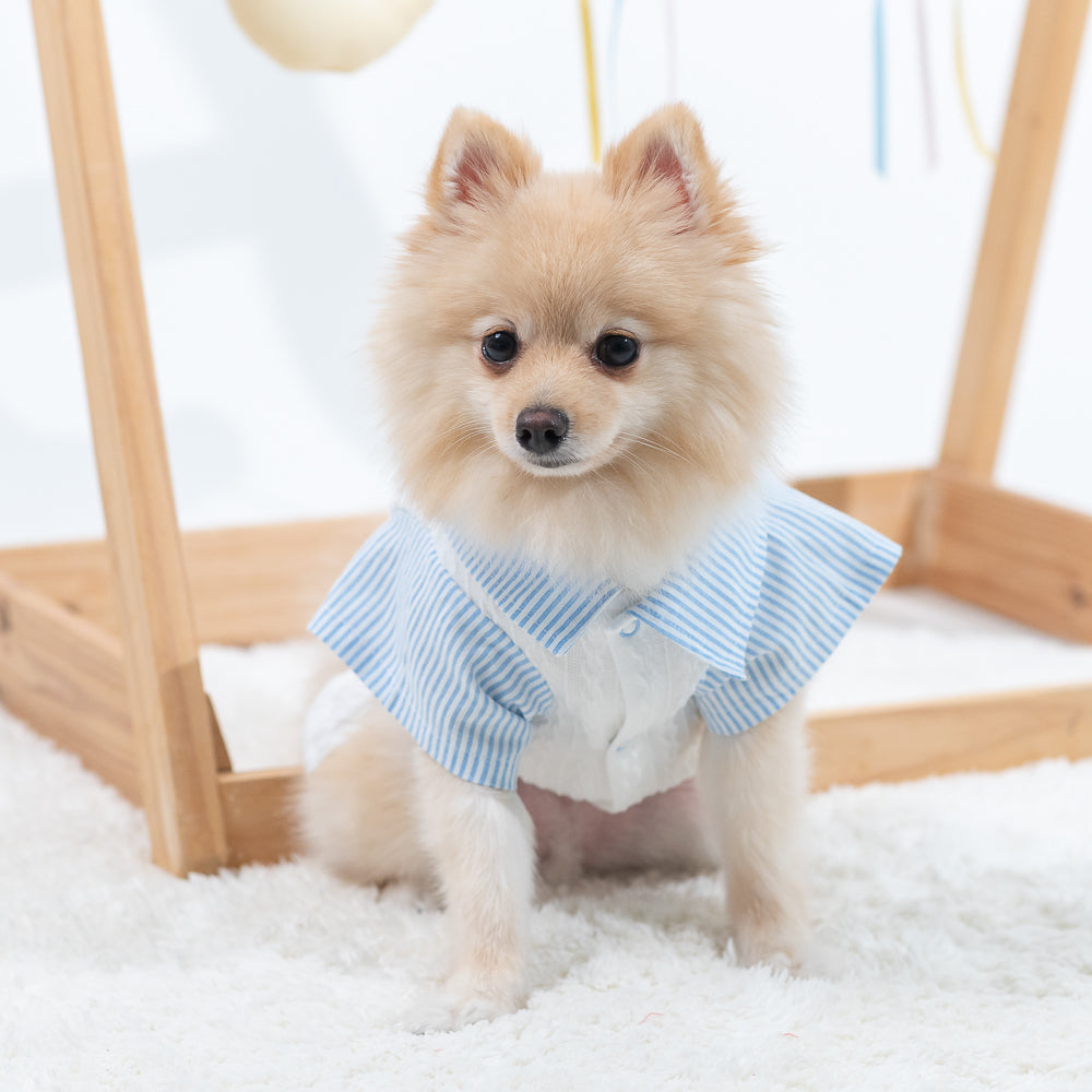 Animal-Go-Round เสื้อผ้าเครื่องแต่งกาย สัตว์เลี้ยง, หมา, แมว, สุนัข รุ่น Rafferty Snowflake