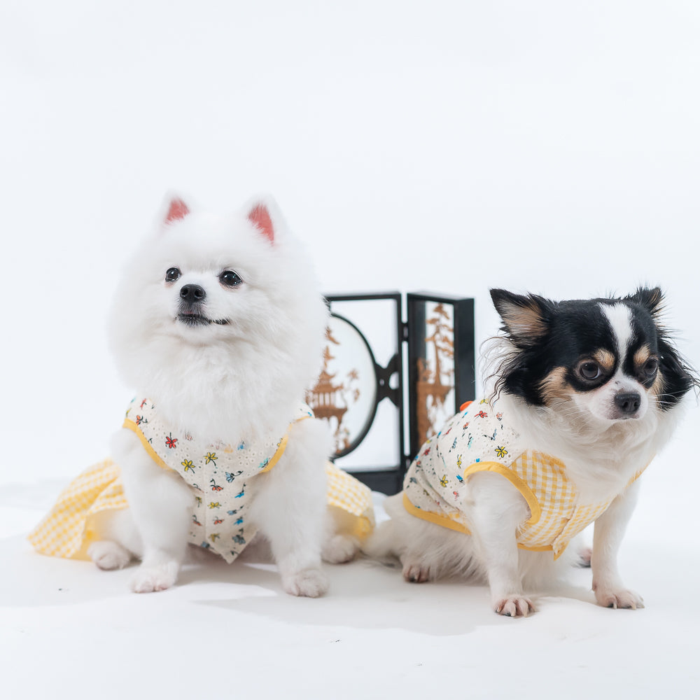 Animal-Go-Round เสื้อผ้าเครื่องแต่งกาย สัตว์เลี้ยง, หมา, แมว, สุนัข รุ่น Mingli