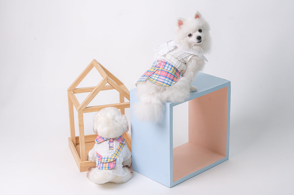 Animal-Go-Round เสื้อผ้าเครื่องแต่งกาย สัตว์เลี้ยง, หมา, แมว, สุนัข รุ่น Scottyboy Pocket