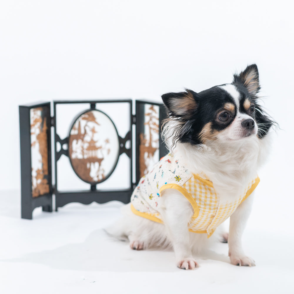 Animal-Go-Round เสื้อผ้าเครื่องแต่งกาย สัตว์เลี้ยง, หมา, แมว, สุนัข รุ่น Mingli