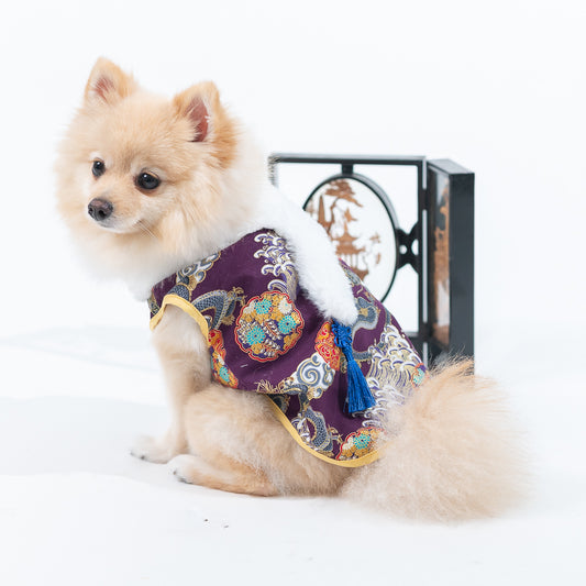 Animal-Go-Round เสื้อผ้าเครื่องแต่งกาย สัตว์เลี้ยง, หมา, แมว, สุนัข รุ่น The Dragon Warrior