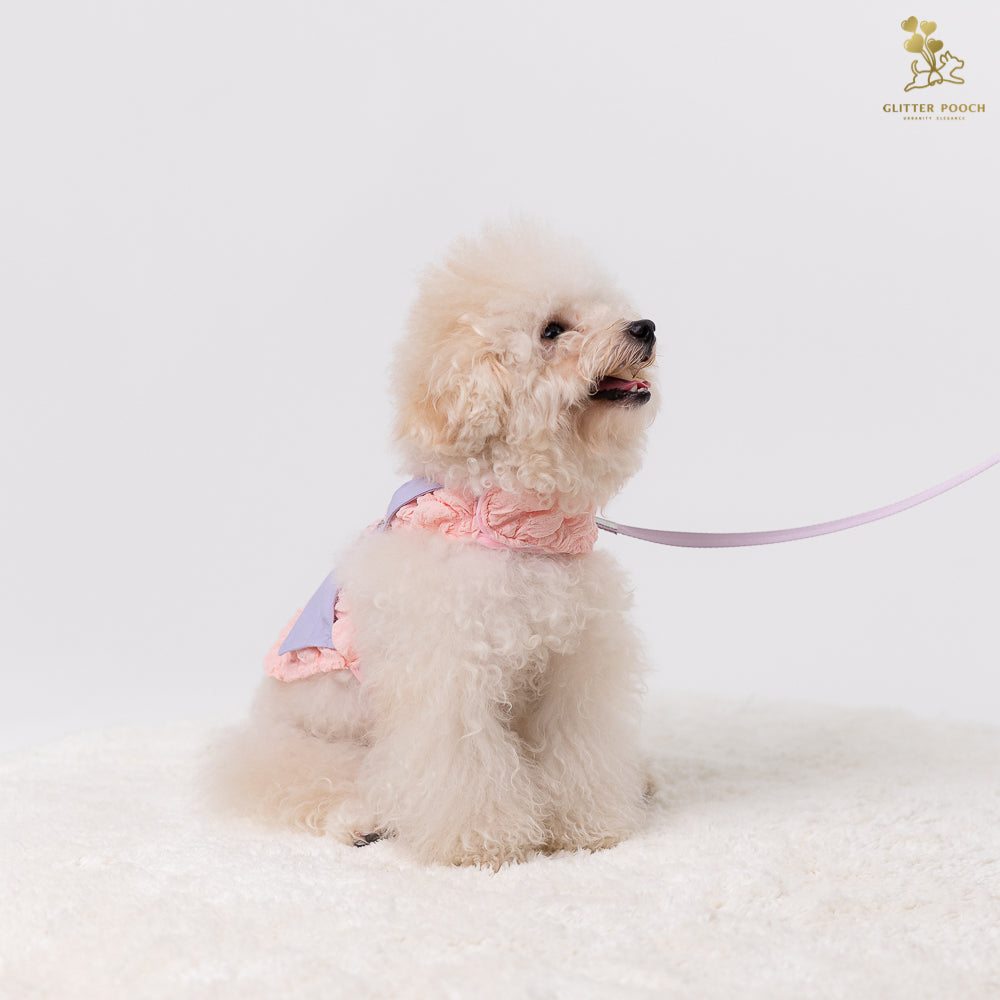 Glitter Pooch Harness ชุดรัดอก สายจูง เสื้อผ้า สุนัข, หมา, แมว, สัตว์เลี้ยง พร้อม สายจูง รุ่น Me Puffy & Bee Bestie in Sherbet