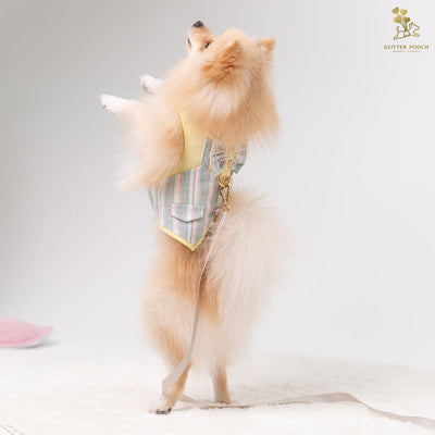 Glitter Pooch Harness ชุดรัดอก สายจูง เสื้อผ้า สุนัข, หมา, แมว, สัตว์เลี้ยง พร้อม สายจูง รุ่น Yellow Pastel Gentleman