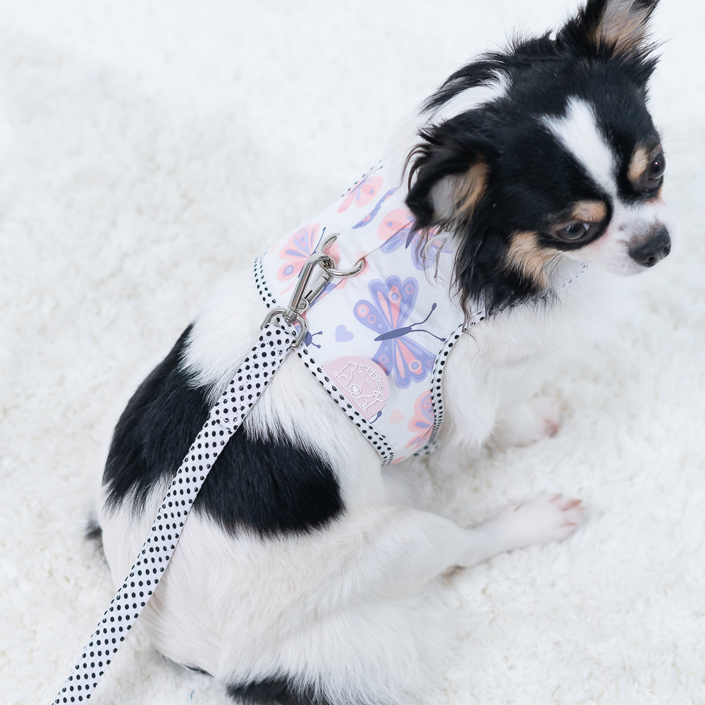 Waggles Lovely Papillon เสื้อผ้า ชุดรัดอก สายจูง สุนัข, หมา, แมว, สัตว์เลี้ยง ขนาดเล็ก - ขนาดกลาง พร้อม สายจูง