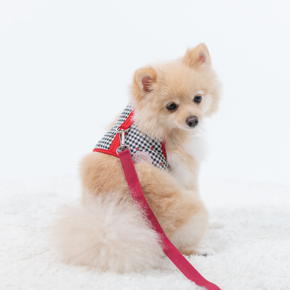 Waggles Plummy Red เสื้อผ้า ชุดรัดอก สายจูง สุนัข, หมา, แมว, สัตว์เลี้ยง ขนาดเล็ก - ขนาดกลาง พร้อม สายจูง