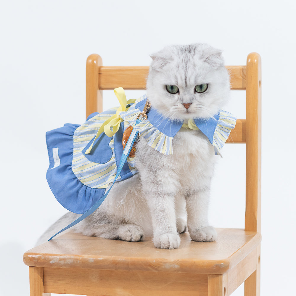 Glitter Pooch Harness ชุดรัดอก สายจูง เสื้อผ้า สุนัข, หมา, แมว, สัตว์เลี้ยง พร้อม สายจูง รุ่น C'est Jeudi Hearty Dress