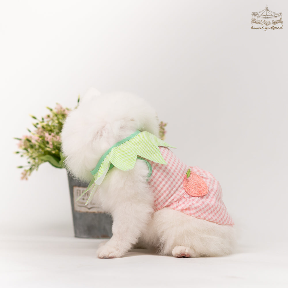 Animal-Go-Round เสื้อผ้าเครื่องแต่งกาย สัตว์เลี้ยง, หมา, แมว, สุนัข รุ่น Juicy Peachy