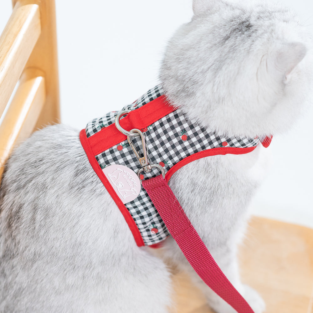 Waggles Plummy Red เสื้อผ้า ชุดรัดอก สายจูง สุนัข, หมา, แมว, สัตว์เลี้ยง ขนาดเล็ก - ขนาดกลาง พร้อม สายจูง