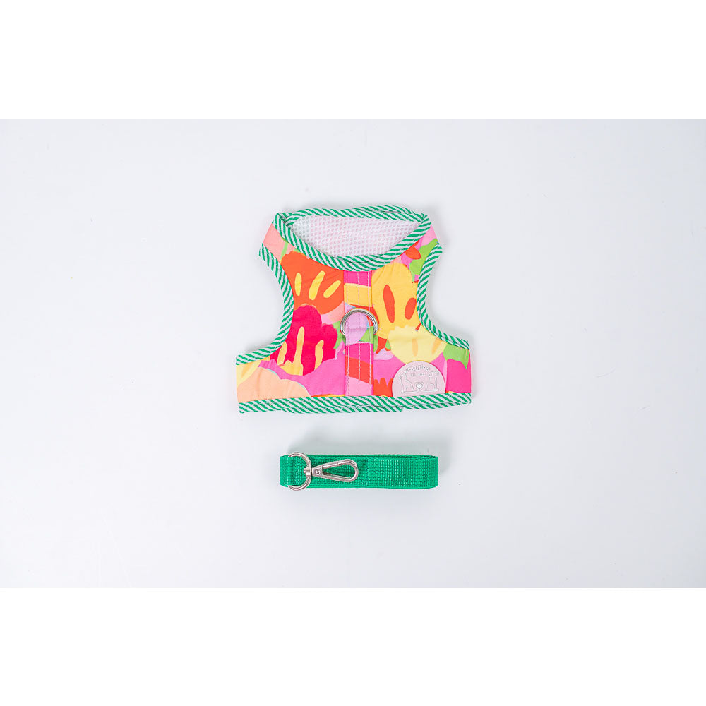 Waggles Vivid Party เสื้อผ้า ชุดรัดอก สายจูง สุนัข, หมา, แมว, สัตว์เลี้ยง ขนาดเล็ก - ขนาดกลาง พร้อม สายจูง