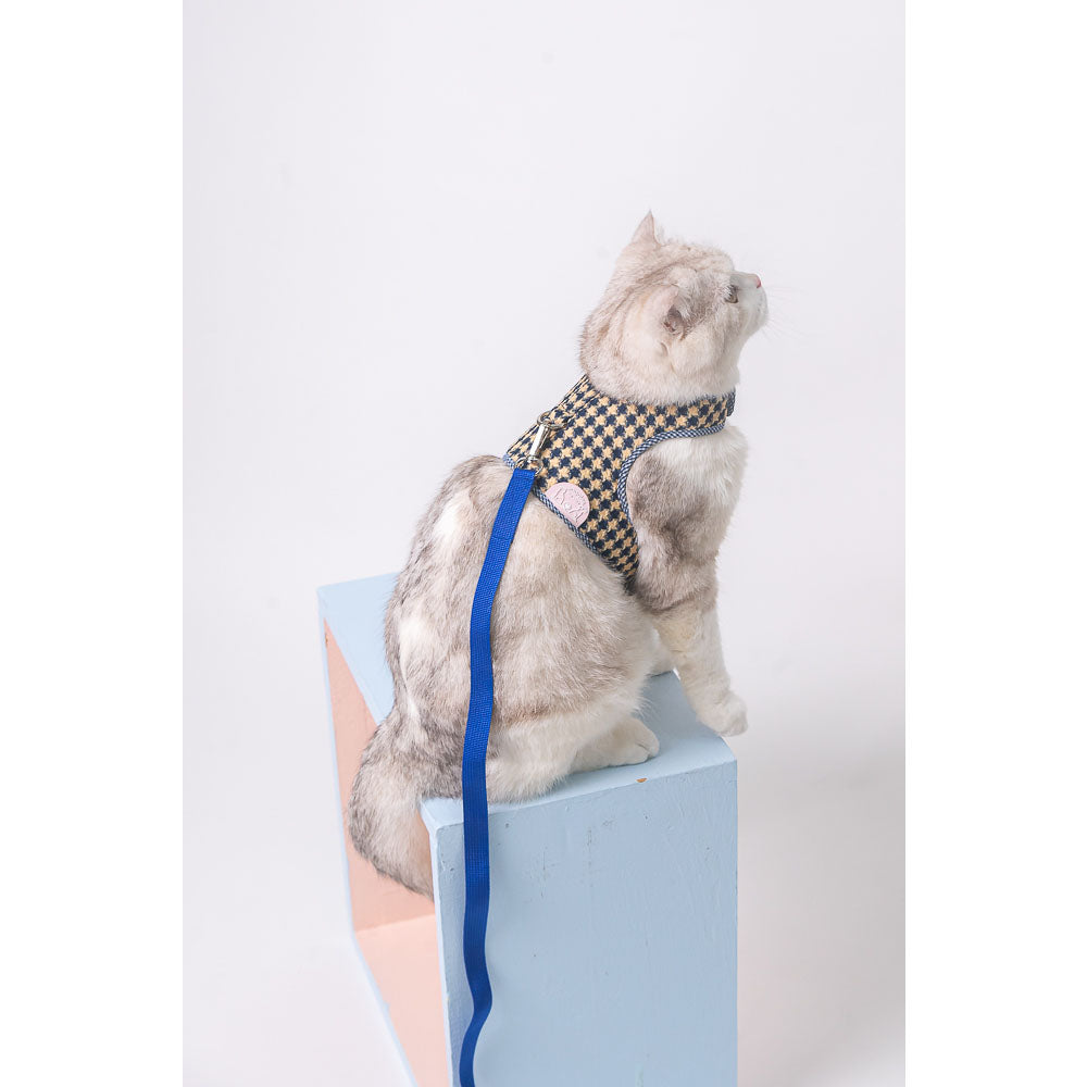 Waggles Blue Beam เสื้อผ้า ชุดรัดอก สายจูง สุนัข, หมา, แมว, สัตว์เลี้ยง ขนาดเล็ก - ขนาดกลาง พร้อม สายจูง