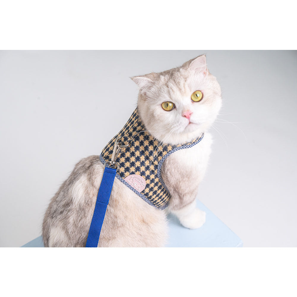 Waggles Blue Beam เสื้อผ้า ชุดรัดอก สายจูง สุนัข, หมา, แมว, สัตว์เลี้ยง ขนาดเล็ก - ขนาดกลาง พร้อม สายจูง