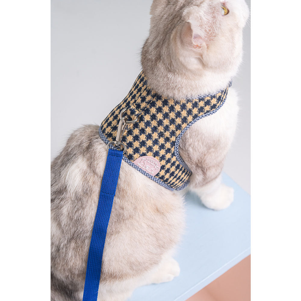 Waggles Blue Beam เสื้อผ้า ชุดรัดอก สายจูง สุนัข, หมา, แมว, สัตว์เลี้ยง ขนาดเล็ก - ขนาดกลาง พร้อม สายจูง