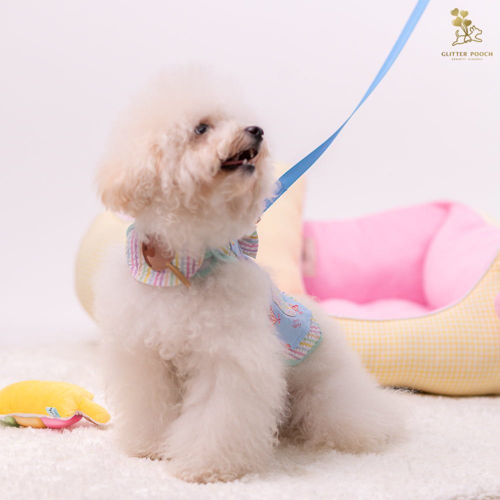 Glitter Pooch Harness ชุดรัดอก สายจูง เสื้อผ้า สุนัข, หมา, แมว, สัตว์เลี้ยง พร้อม สายจูง รุ่น Lolly Fairyland in Blue Sky