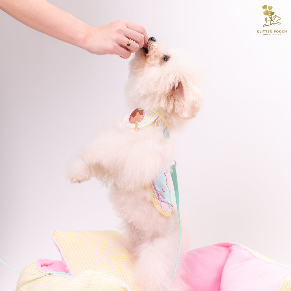 Glitter Pooch Harness ชุดรัดอก สายจูง เสื้อผ้า สุนัข, หมา, แมว, สัตว์เลี้ยง พร้อม สายจูง รุ่น Lolly Fairyland in Mint Candy