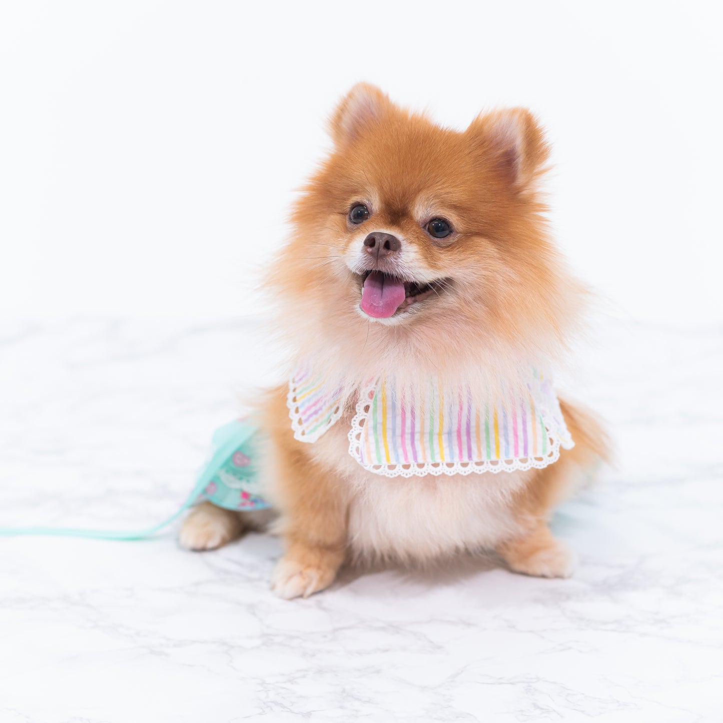 Glitter Pooch Harness ชุดรัดอก สายจูง เสื้อผ้า สุนัข, หมา, แมว, สัตว์เลี้ยง พร้อม สายจูง รุ่น J_adore Abbie