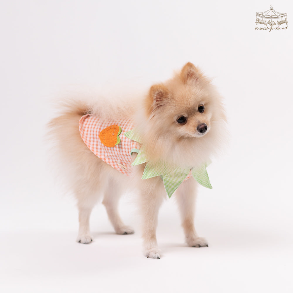 Animal-Go-Round เสื้อผ้าเครื่องแต่งกาย สัตว์เลี้ยง, หมา, แมว, สุนัข รุ่น Tiny Carrot