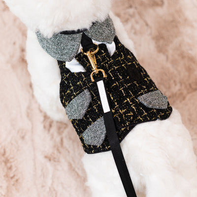 Glitter Pooch Harness ชุดรัดอก สายจูง เสื้อผ้า สุนัข, หมา, แมว, สัตว์เลี้ยง พร้อม สายจูง รุ่น Sassy Homme