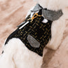 Glitter Pooch Harness ชุดรัดอก สายจูง เสื้อผ้า สุนัข, หมา, แมว, สัตว์เลี้ยง พร้อม สายจูง รุ่น Sassy Homme