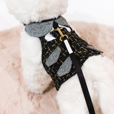 Glitter Pooch Harness ชุดรัดอก สายจูง เสื้อผ้า สุนัข, หมา, แมว, สัตว์เลี้ยง พร้อม สายจูง รุ่น Sassy Homme