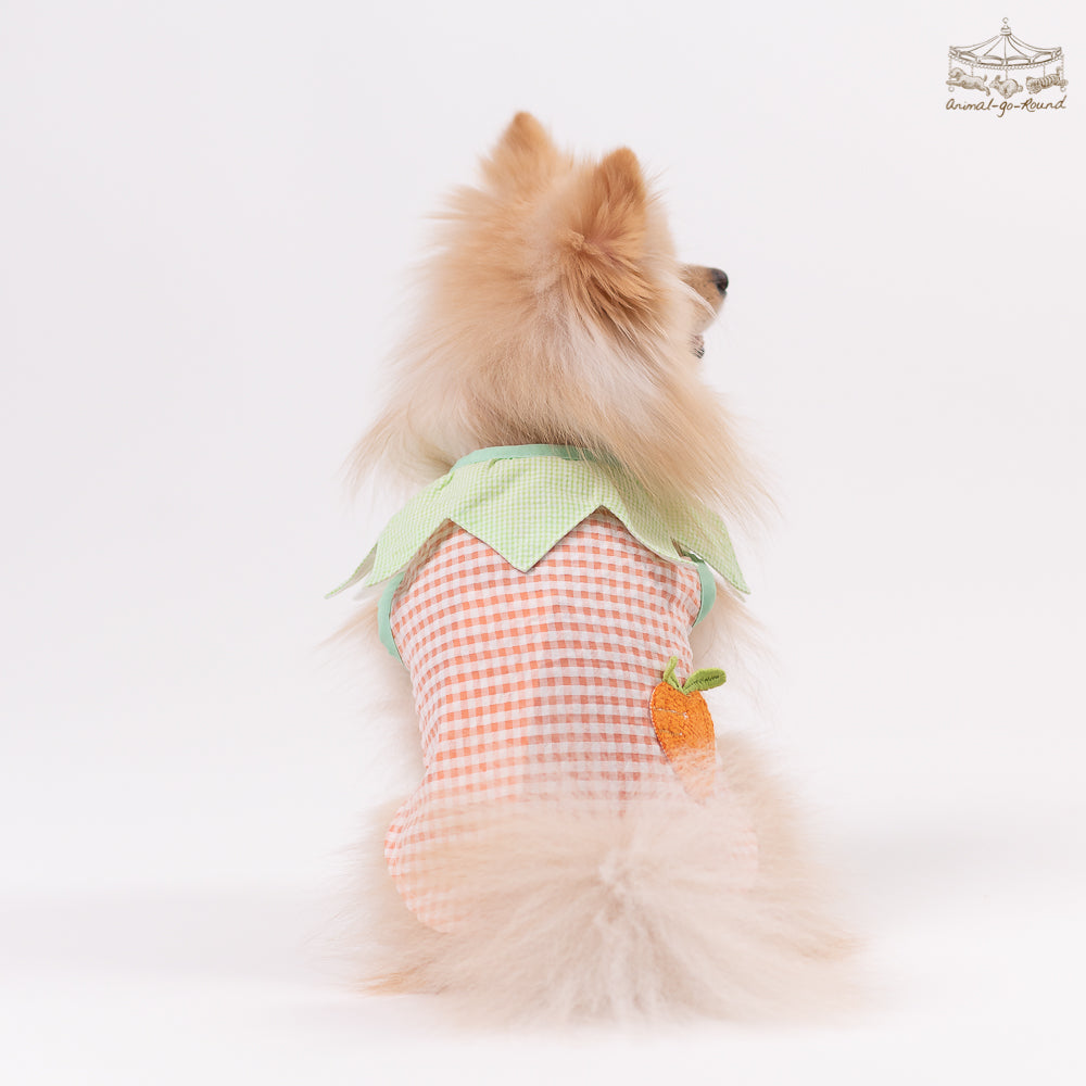 Animal-Go-Round เสื้อผ้าเครื่องแต่งกาย สัตว์เลี้ยง, หมา, แมว, สุนัข รุ่น Tiny Carrot