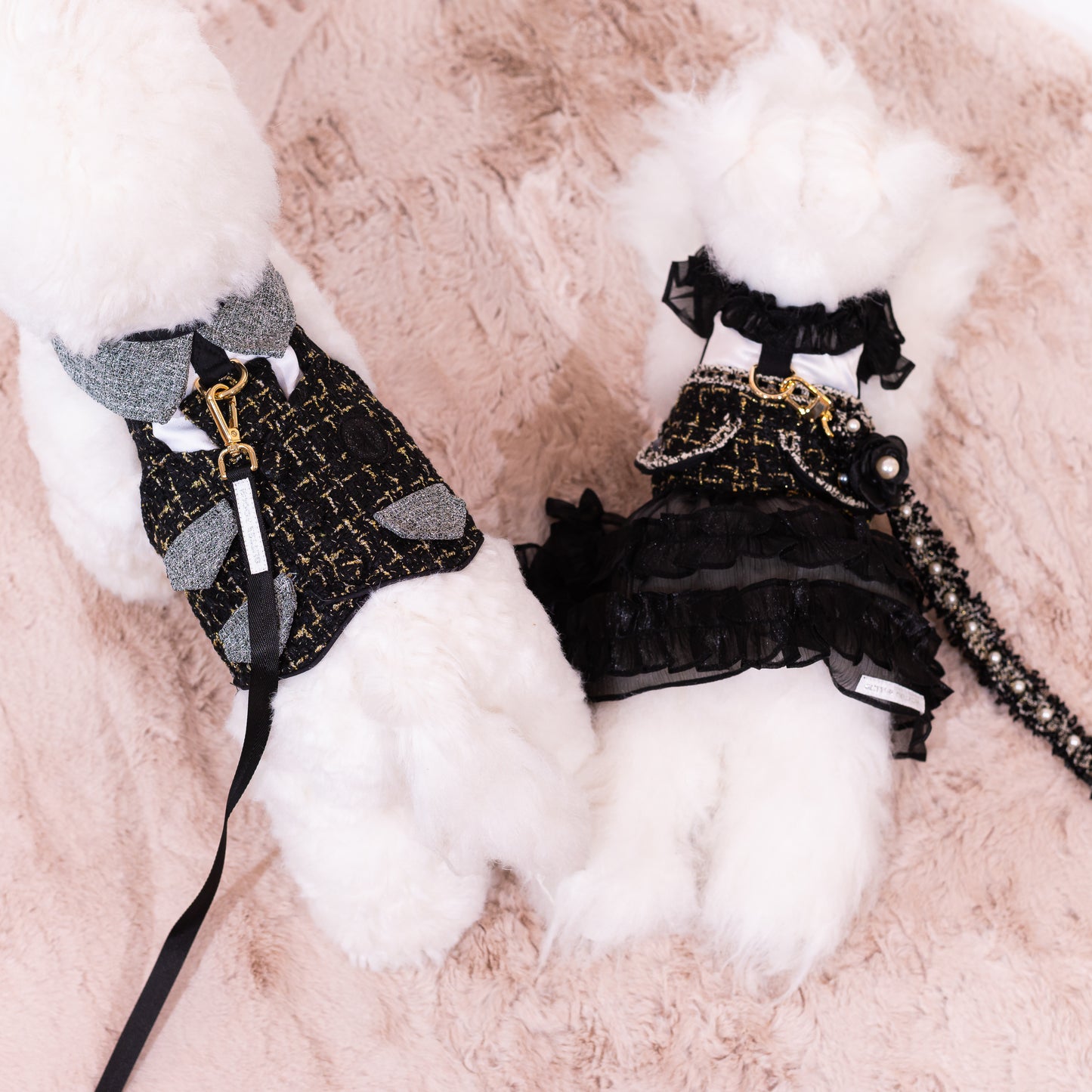 Glitter Pooch Harness ชุดรัดอก สายจูง เสื้อผ้า สุนัข, หมา, แมว, สัตว์เลี้ยง พร้อม สายจูง รุ่น New Sassy Emily Black