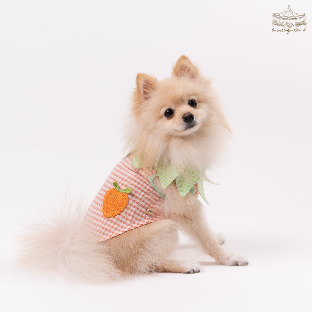 Animal-Go-Round เสื้อผ้าเครื่องแต่งกาย สัตว์เลี้ยง, หมา, แมว, สุนัข รุ่น Tiny Carrot