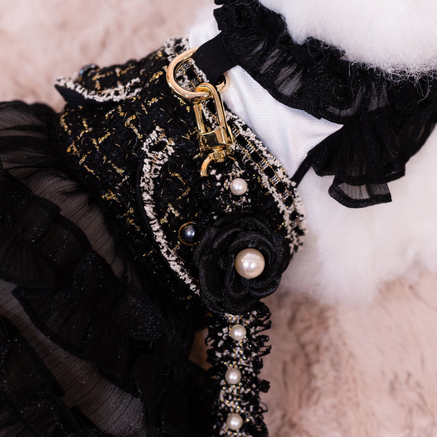 Glitter Pooch Harness ชุดรัดอก สายจูง เสื้อผ้า สุนัข, หมา, แมว, สัตว์เลี้ยง พร้อม สายจูง รุ่น New Sassy Emily Black