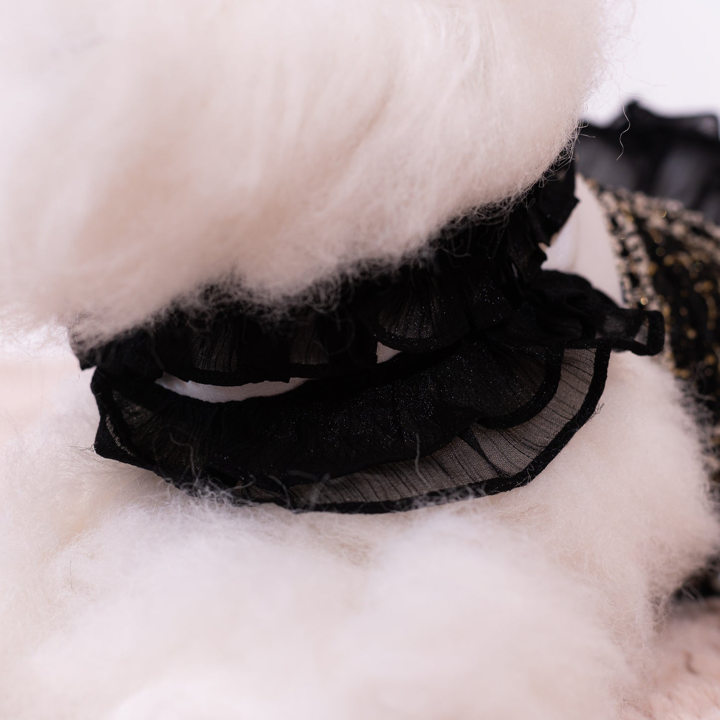 Glitter Pooch Harness ชุดรัดอก สายจูง เสื้อผ้า สุนัข, หมา, แมว, สัตว์เลี้ยง พร้อม สายจูง รุ่น New Sassy Emily Black