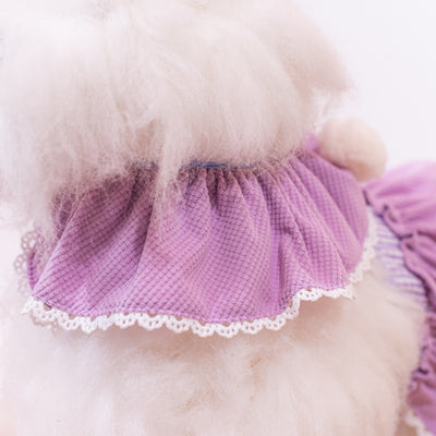 Glitter Pooch Harness ชุดรัดอก สายจูง เสื้อผ้า สุนัข, หมา, แมว, สัตว์เลี้ยง พร้อม สายจูง รุ่น Huggie Ice Cubs Gal - Wisteria