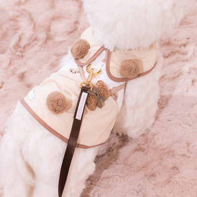 Glitter Pooch Harness ชุดรัดอก สายจูง เสื้อผ้า สุนัข, หมา, แมว, สัตว์เลี้ยง พร้อม สายจูง รุ่น Huggie Cubs Boy - Mocha