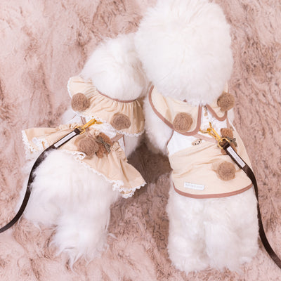 Glitter Pooch Harness ชุดรัดอก สายจูง เสื้อผ้า สุนัข, หมา, แมว, สัตว์เลี้ยง พร้อม สายจูง รุ่น Huggie Cubs Boy - Mocha